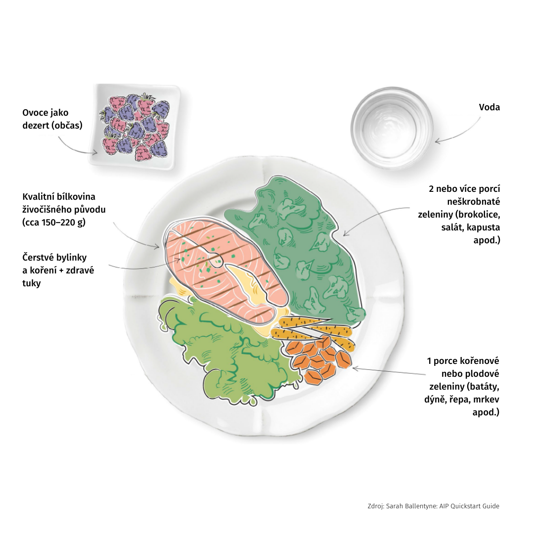 Jak by měl vypadat AIP talíř. Jak by měl vypadat AIP talíř.
